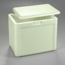 CAIXA ISOPOR 012LT